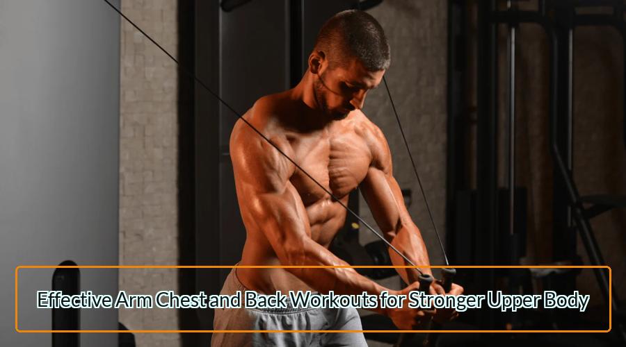 Arm Chest and Back Workouts