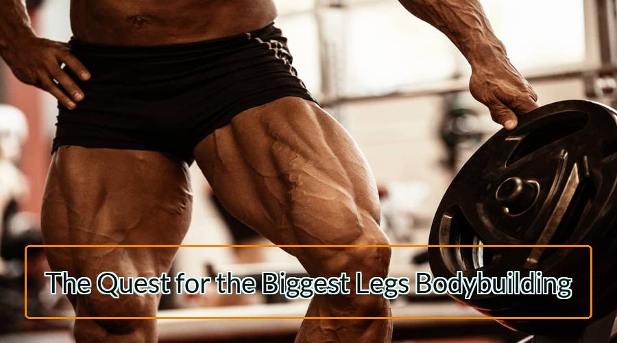 Legs Bodybuilding