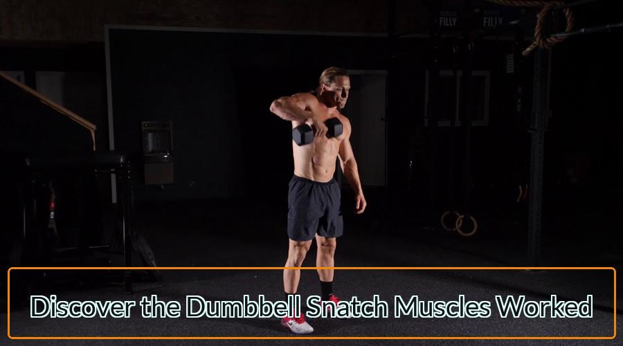 Dumbbell Snatch Muscles